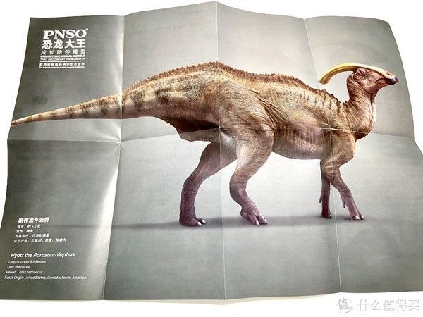赵闯|恐龙模型 篇一:除了没有可动,其他基本完美——PNSO副栉龙把玩分享