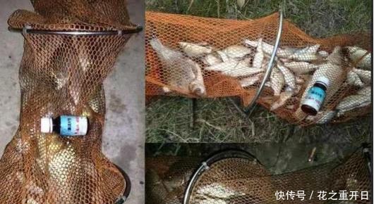 热天钓鱼开饵时用上这5招，不是跟你吹，大鱼看见就狂咬，半天就爆护！