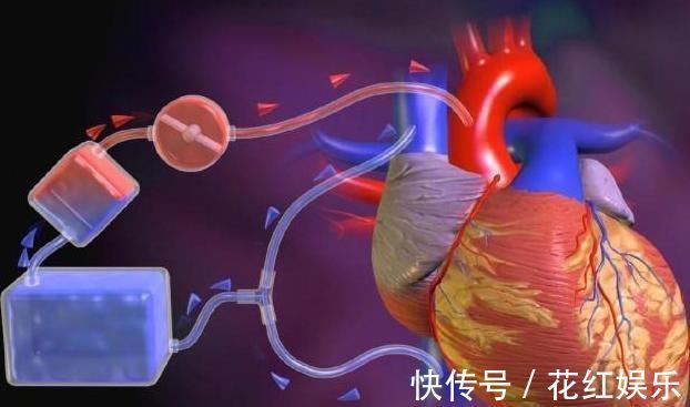 血液流变学|高血脂人群,牢记:常吃1物,稳定血脂清理血管,赶走健康隐患!