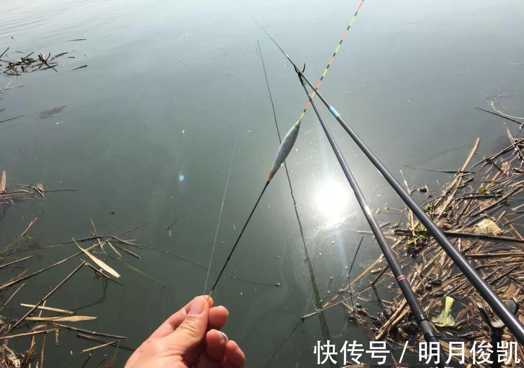 动作|盯紧你的浮漂!冬天野钓别等黑漂,这样的小信号也能中鱼