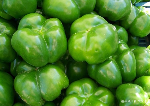 茄子|聪明人爱吃的4种食物,补充营养滋润肌肤!身体越来越健康