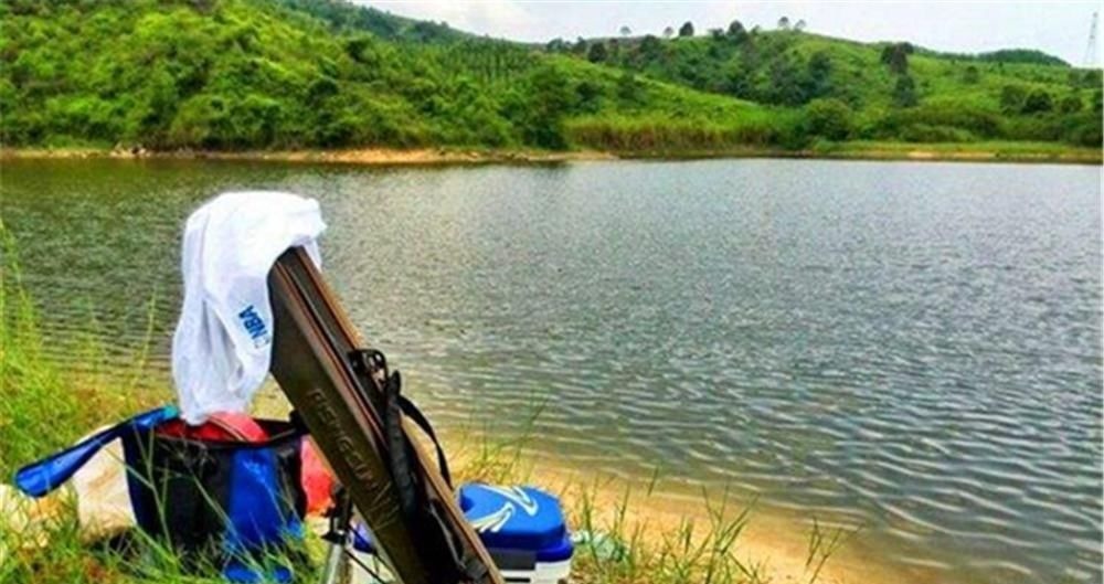 钓不到鱼?基本是天气没选对,这些天气鱼“胃口好”,很容易爆护