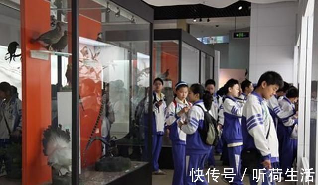 生活环境|多带孩子去这几个地方,省钱又有趣,还能促进智商、情商双向提高