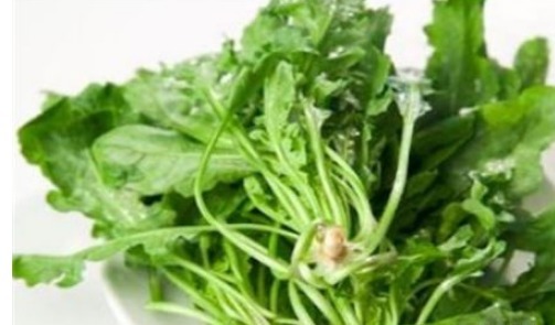 杜鹃花科越橘属|人到中年,适合吃的食物,排毒养颜,调理肠胃,预防妇科疾病