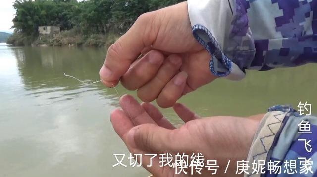 切线跑的鱼，鱼就会死掉？不一定，鱼会“想方设法”活下来！