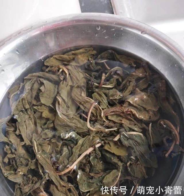 它曾是穷人的救命菜，每年晒30斤，是药又是菜，家人常吃身体棒
