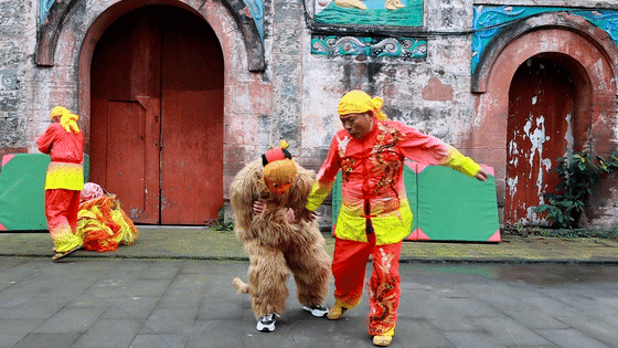 非物质文化遗产#雄狮少年在金堂!