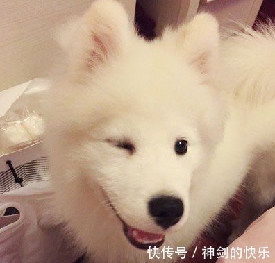 |搞笑图片幽默段子笑话：设计师，这个露天楼梯当初没考虑天气吗？