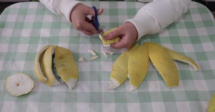 效果|吃剩的柚子皮不要扔,泡一泡用来浇花,效果超好