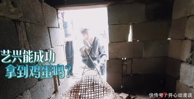 张艺兴 向往:张艺兴掏鸡蛋,差点被鸡啄,看他下意识嘟囔了啥?暴露修养