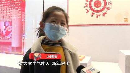 花开|迎春花开 欢度安静祥和年