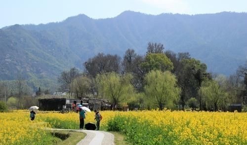 南屏|皖南被忽视的绝美古村，比宏村更为悠久，门票仅38，却没多少游客