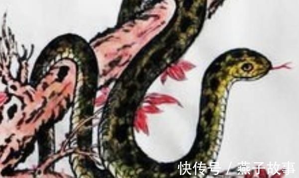 甜蜜蜜|老一辈人常说生肖蛇只要度过“2难”,后半生定能咸鱼翻身