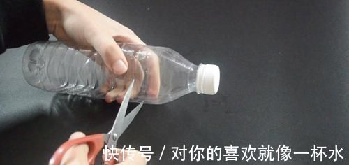 气球|塑料瓶上套个气球, 能为家里省下不少钱, 看完您会感谢我的