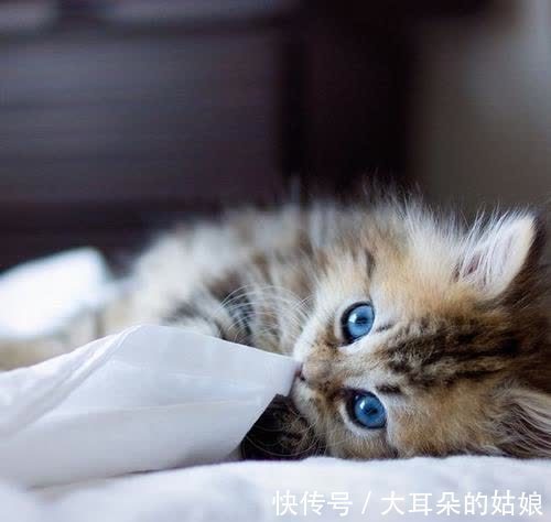 |幽默笑话:高中时,住宿在学校,两个室友不知道为什么吵起来了