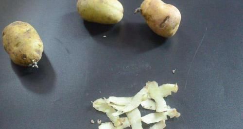 爆盆|养花时,用点鸡蛋、土豆,啥花都喜欢,不用买肥料,还不停爆盆