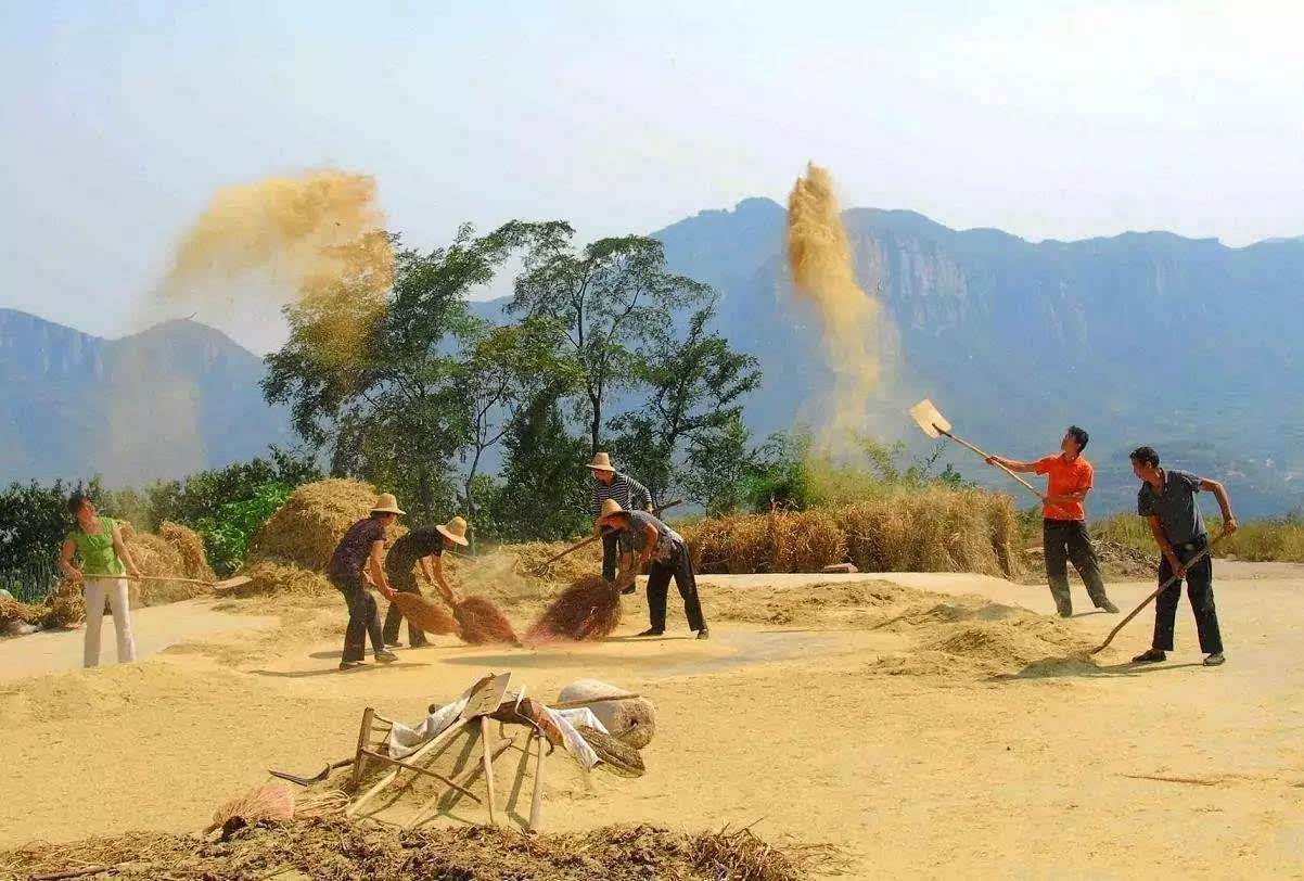 酒桌!“父子不同桌,叔侄不对饮”究竟是什么意思,越早知道越好!