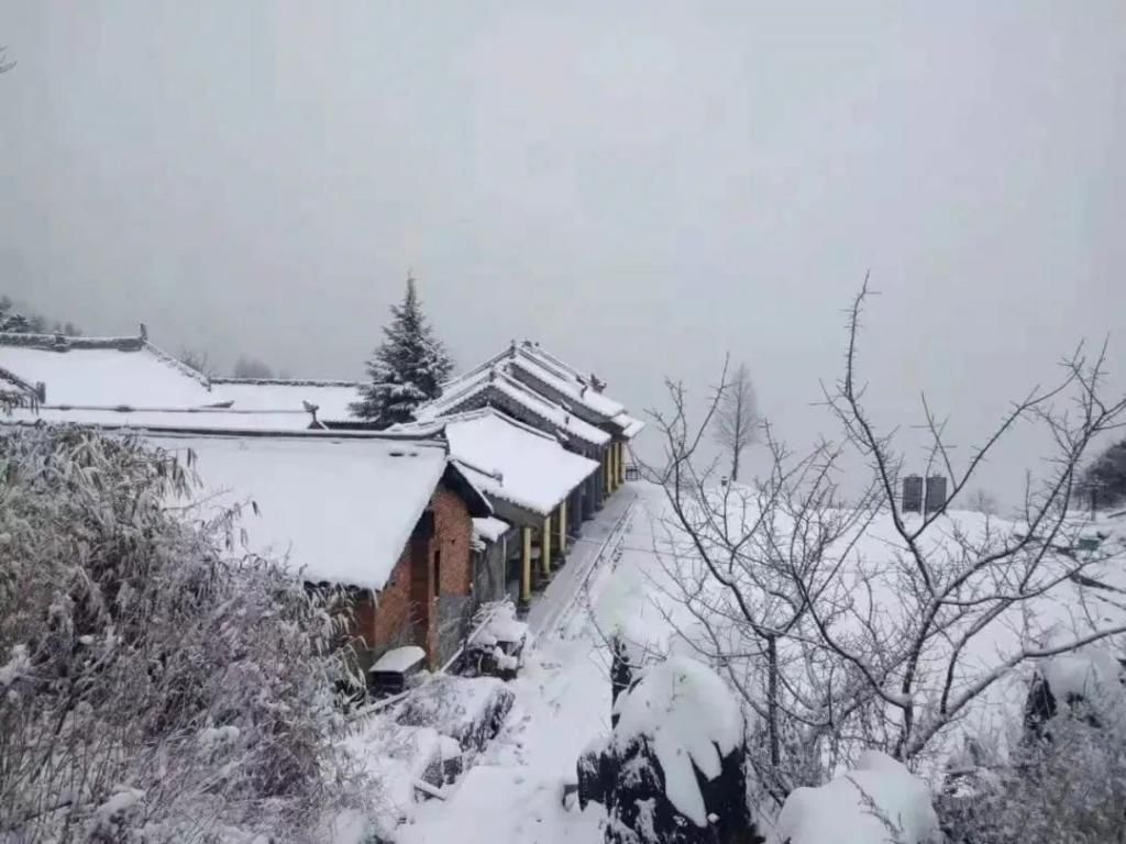 县区|初雪！周边县区雪景美图来袭！