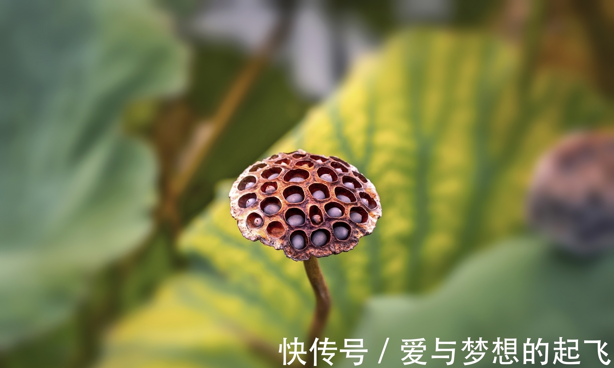 应聘者#好家风“贵”在“四”个字!