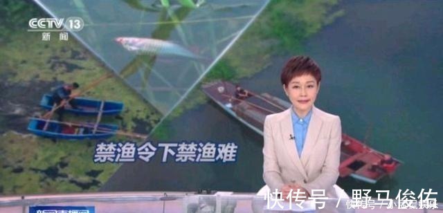 央視新聞主播周麗播音名變遷史，第一個鮮為人知，第二個沿用至今
