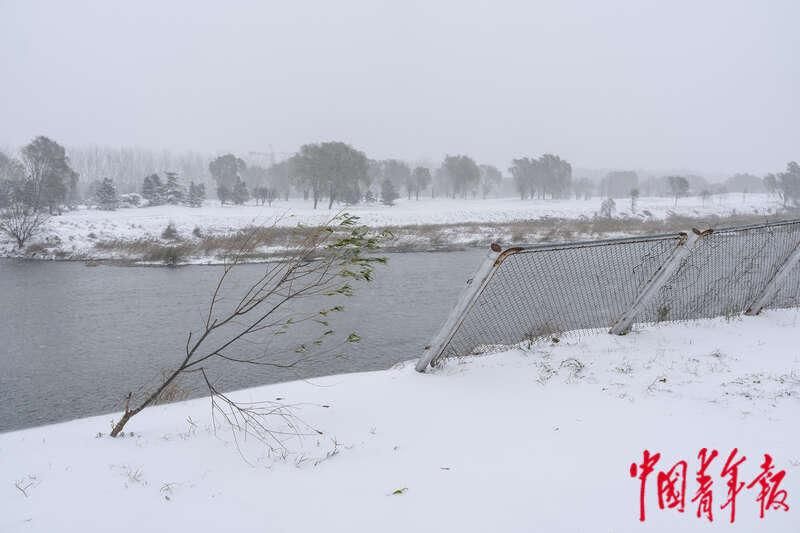 北京故宫博物院|北京初雪迎立冬