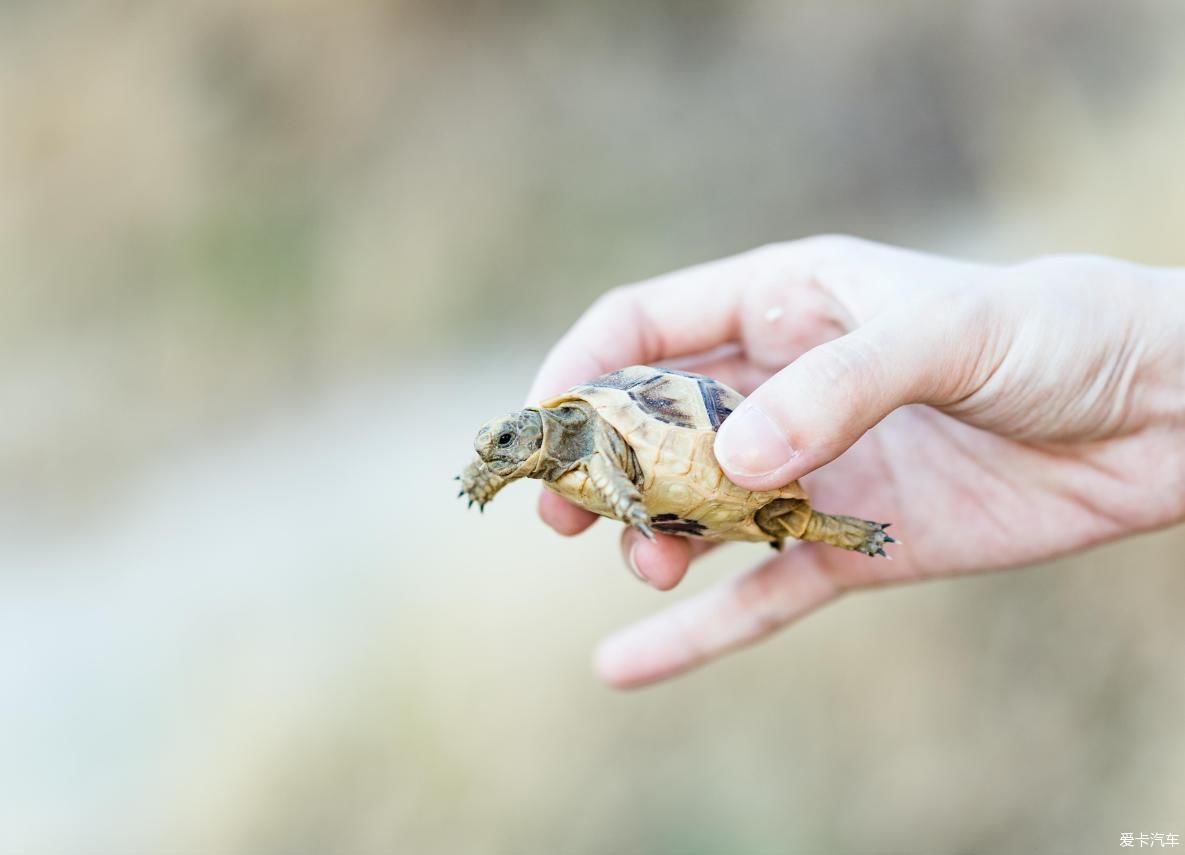 打卡土耳其 把最美的暖间留下来 体验最深度的穷游