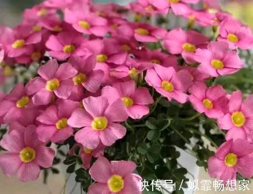 善念$人在做,天在看!做人,别缺德,要心存善念!