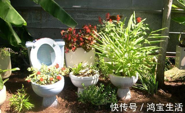 往花盆里丢“电线”，啥花都喜欢，难怪花和叶子“呼呼长”