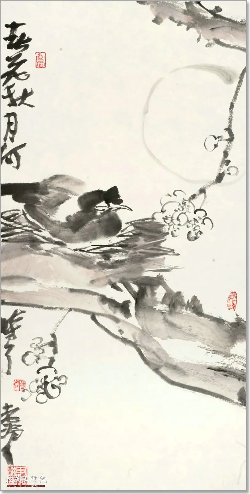 33cm|尹沧海教授八哥作品欣赏:融历代名家的绘画语言于一体