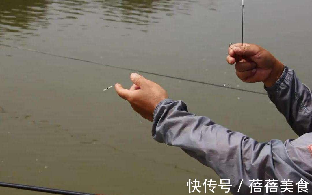 野钓时,子线到底怎么选,才能符合实战需求?