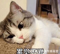 洗发水|超市5款“尴尬”孕妇洗发水,明明洗感很好,但是却无人问津