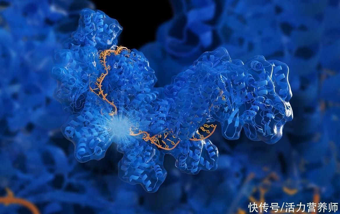 患上癌症|为什么有些人不会患癌?实话实说:他们都有4个共同点,你符合吗