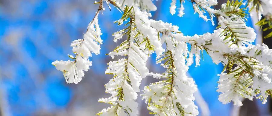  故事|敲黑板！“雪的故事”征文活动开始啦~~