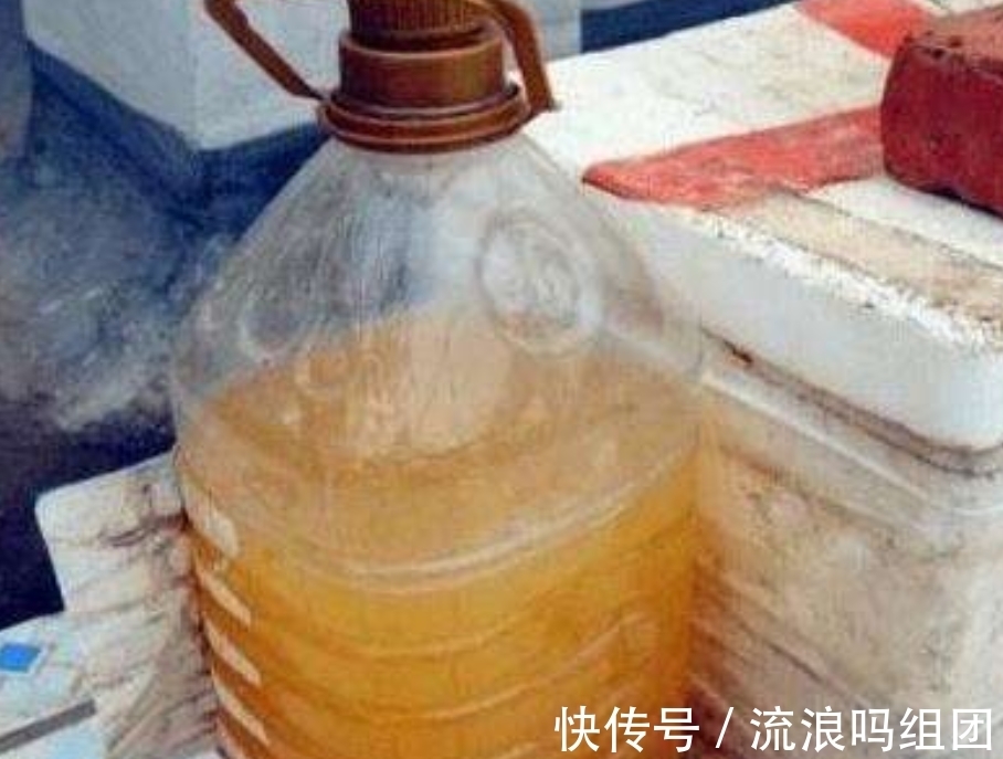 氮磷钾|养花浇水多加“它”，富含“氮磷钾”，啥花喝完呼呼长