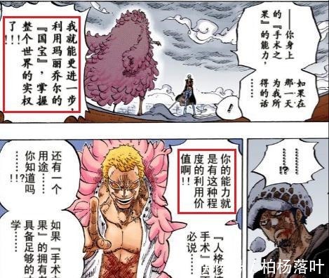 明哥|海贼王明哥口中的国宝,可能与凶药性质相同,或者已被损坏