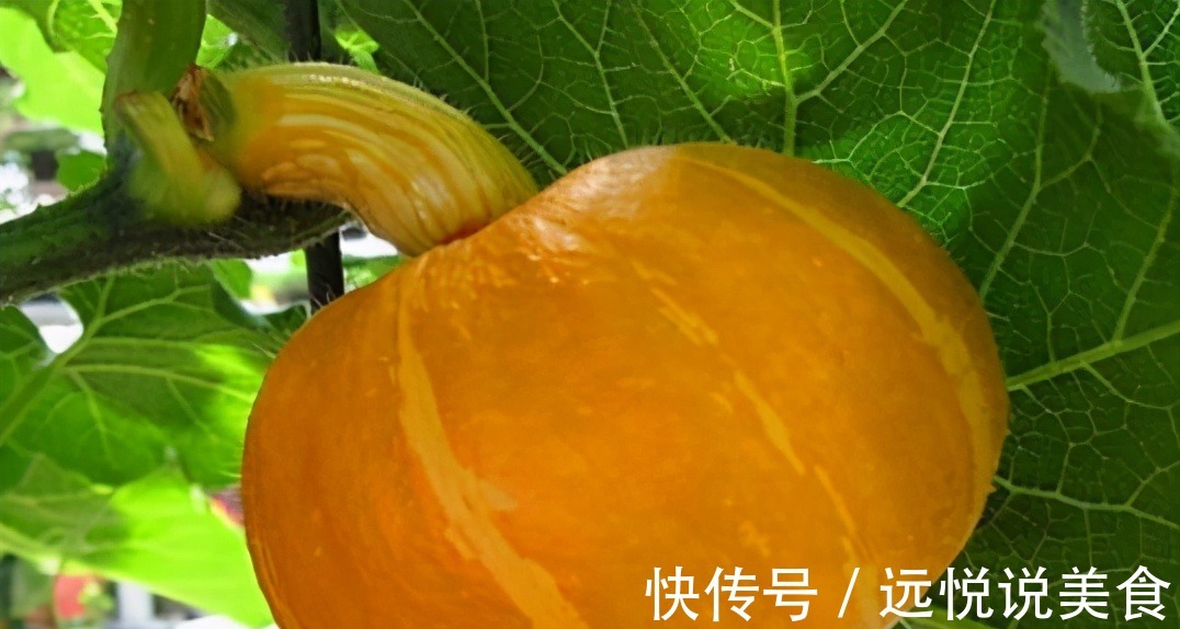 食物|对女人很好的3种食物,坚持每天吃一些,排毒养颜、淡化皱纹