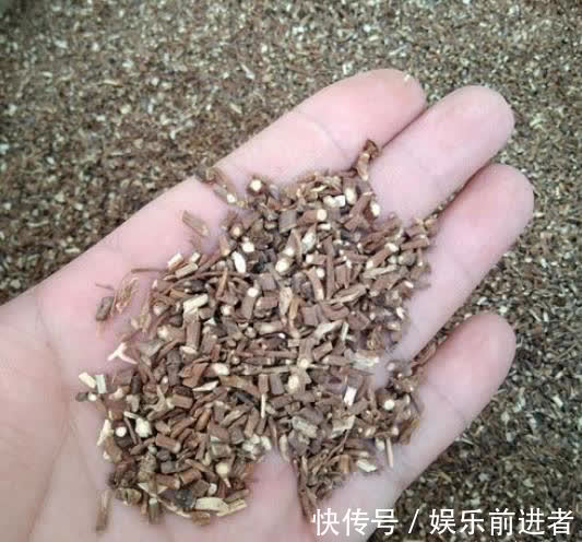 结节|身体容易有结节只因这3点,学会5种方法,疏肝理气,不纠结