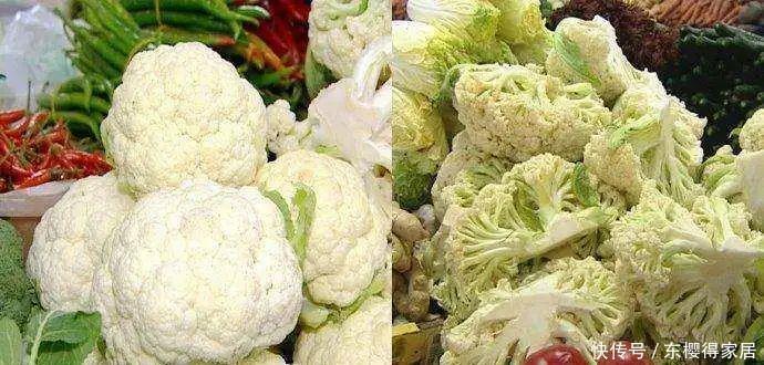 水果也有公母,母水果甜如蜜,不会选就亏大了