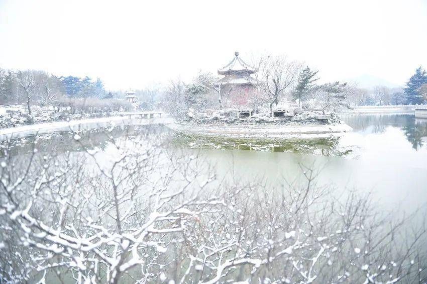 初雪中的济南南郊宾馆|镜头下 | 初雪