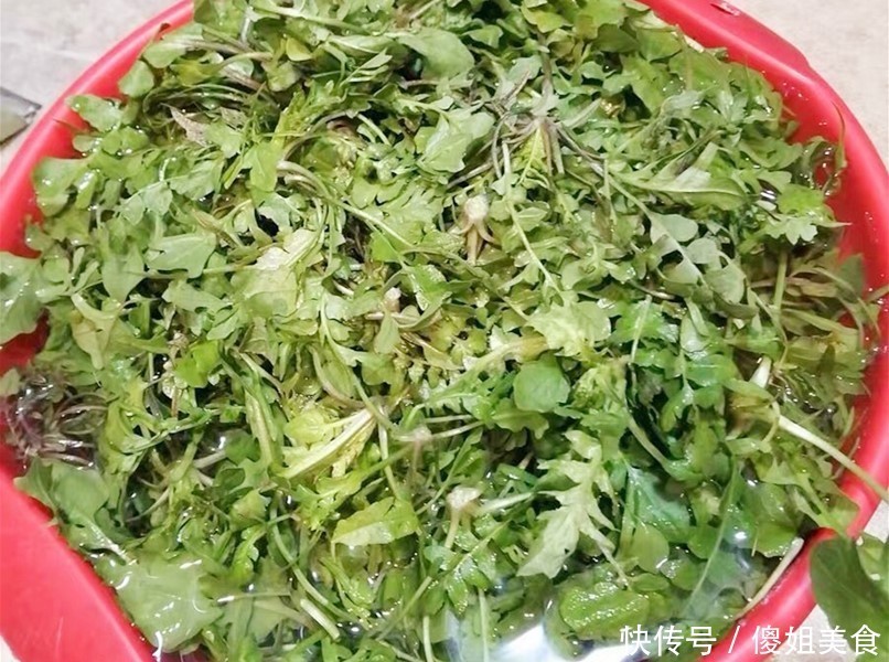 我家|冬天用它包饺子,比白菜萝卜鲜,再贵也要吃,我家一周吃4次