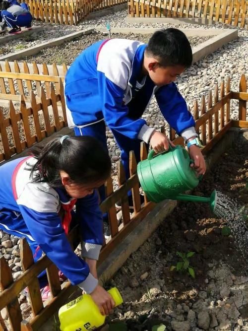 牛年新学期新气象，洞头娃精彩开学第一天