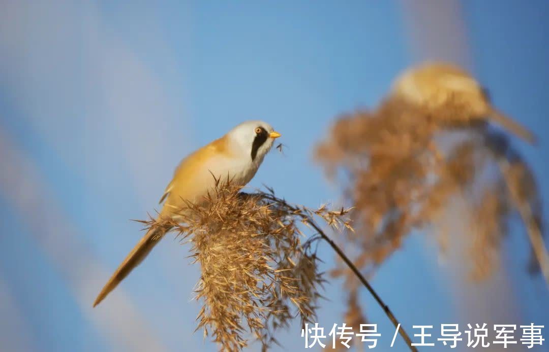 无用之物$以无用之事,修自在之心