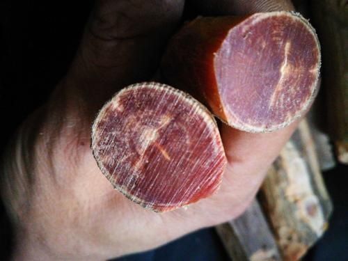 木质文玩|这种木头看上去像蜜蜡,号称“北沉香”,东北人一定见过它