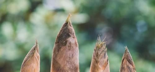 煮饭用冷水还是热水好？大多数人都做错了