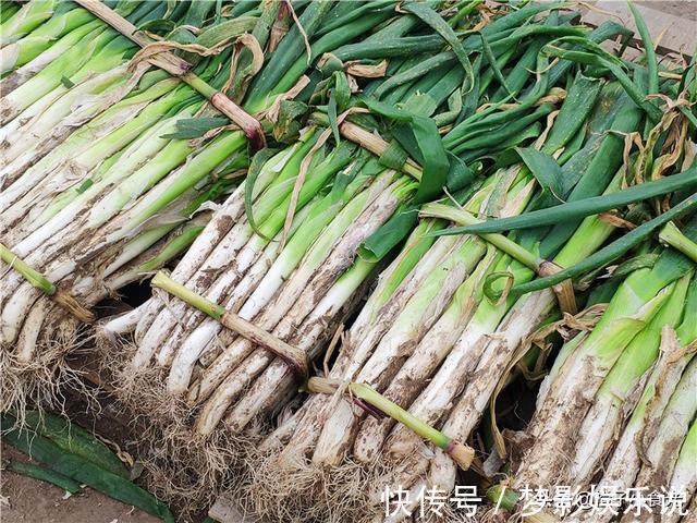 保存大葱挺简单，不干瘪不空心，囤20斤吃一冬，随吃随取很方便