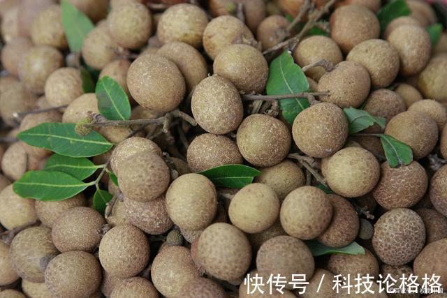 女性朋友|子宫肌瘤“最爱”3类女生,最好避而远之!多吃2物,子宫或笑开颜