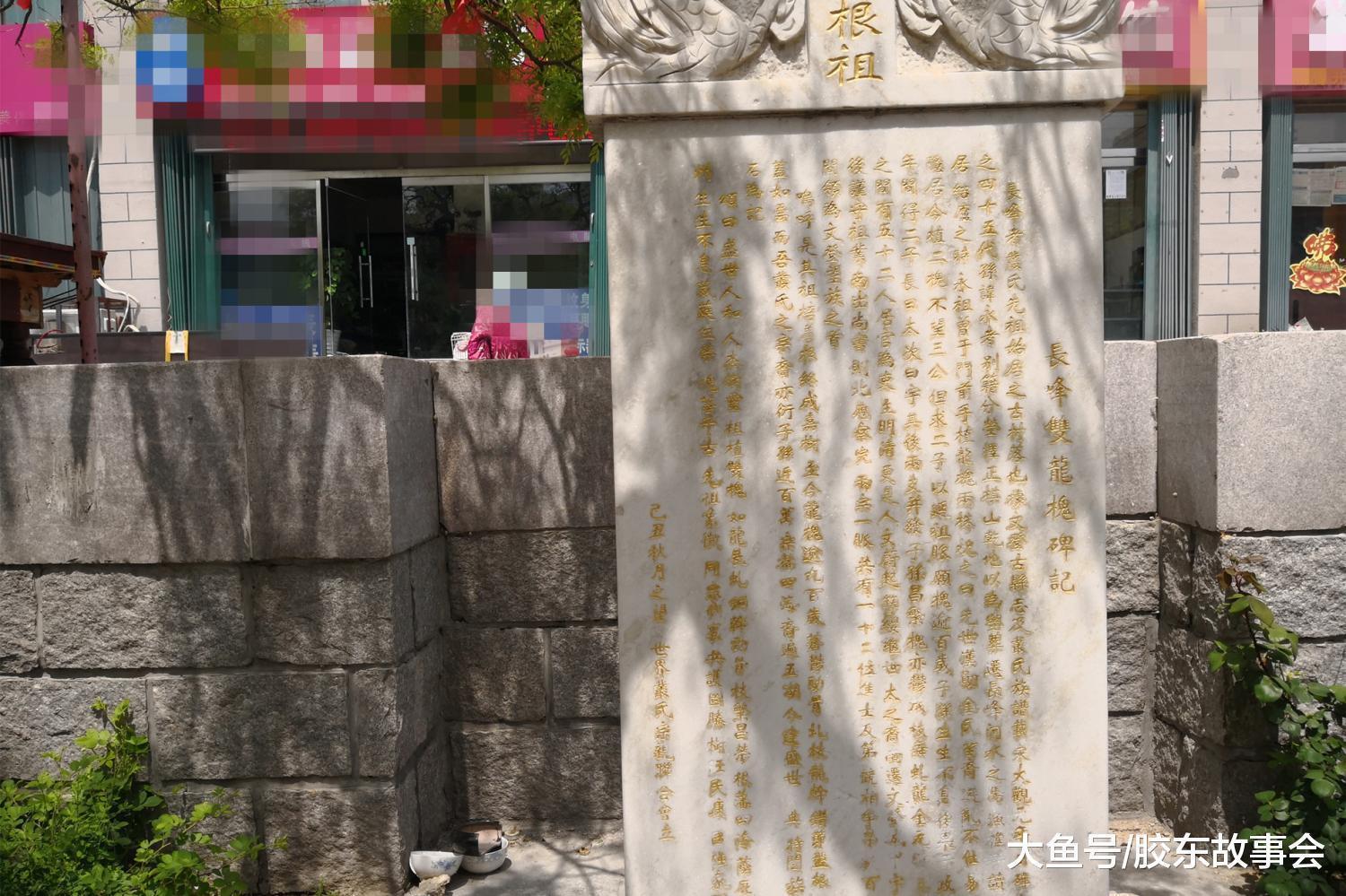 地方有两棵大槐树, 见证了丛姓家族的历史