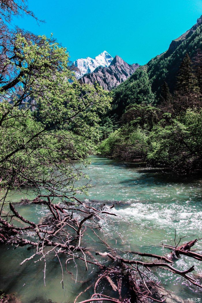 枯树滩|东方圣山，户外天堂——四姑娘山自驾徒步之旅