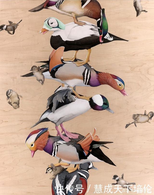 感恩|博齐奇的自然幻境异想天开的科学艺术,感恩生命的生物美学