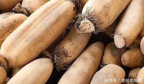 冬天了，多吃3种食物，养肝排毒，抗衰护肤，人越来越年轻